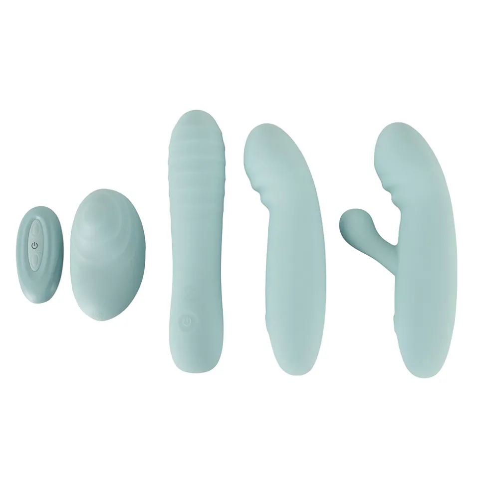 Auflegevibrator