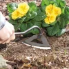Effektiv Unkraut jäten – gründlicher als mit jedem Gartenmesser