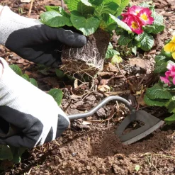 Effektiv Unkraut jäten – gründlicher als mit jedem Gartenmesser