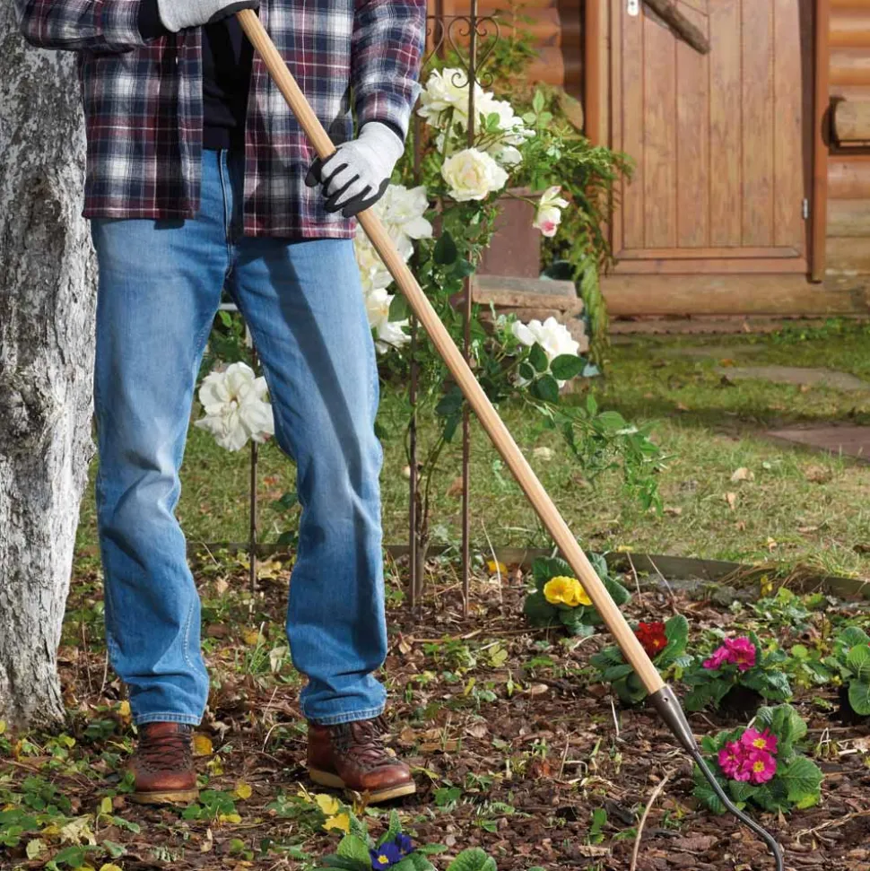 Effektiv Unkraut jäten – gründlicher als mit jedem Gartenmesser