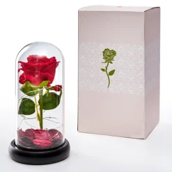 Eine Rose, die ewig erblüht!