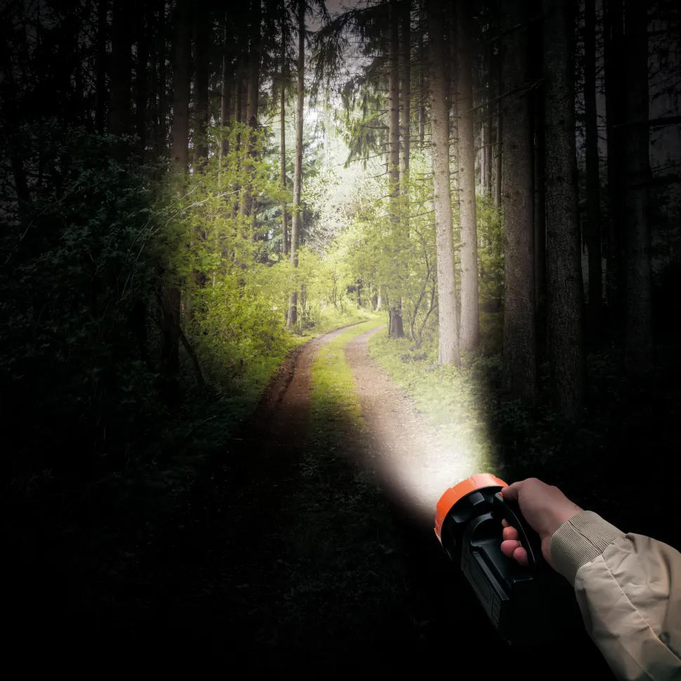 Geballte Lichtpower mit CREE- und COB-Technologie!