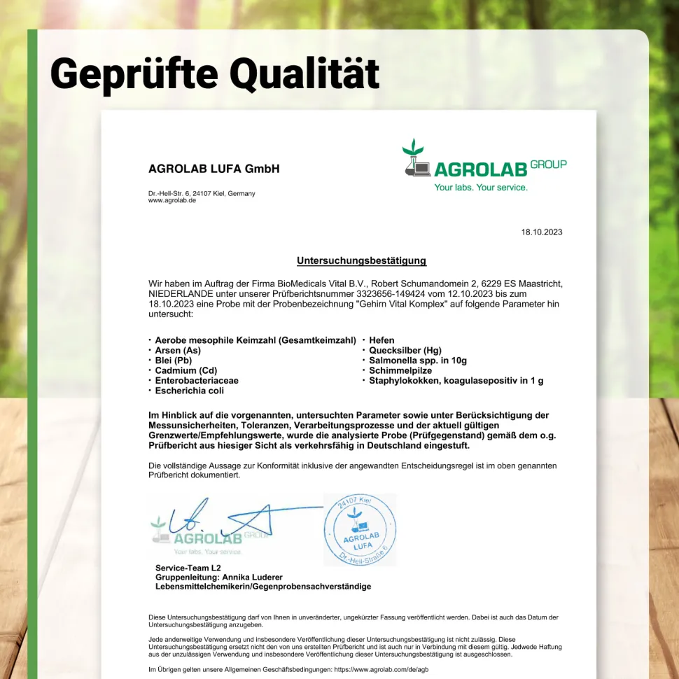 Gehirn Vital Komplex