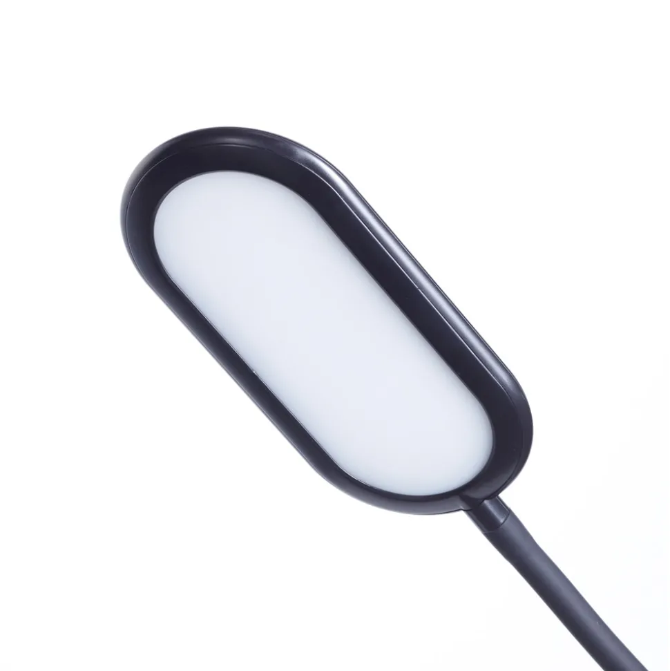 Gönnen Sie sich Licht nach Maß – dank Schwanenhals und wählbarer Lichtfarbe