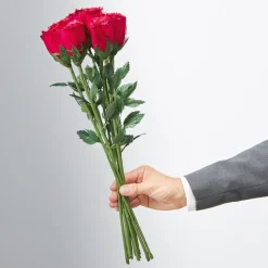 Handgefertigte Rosen aus echten Gänsefedern – noch schöner als echte Rosen