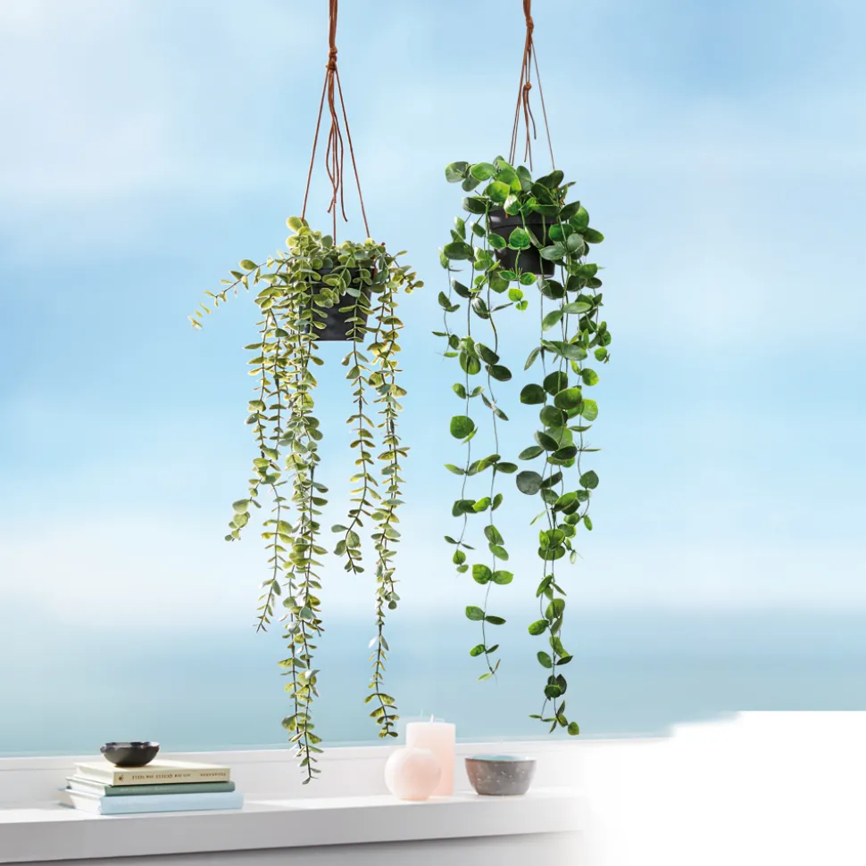 Kunstpflanze Eukalyptus