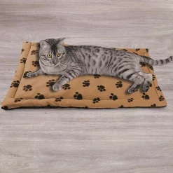 Multi-Tierdecke