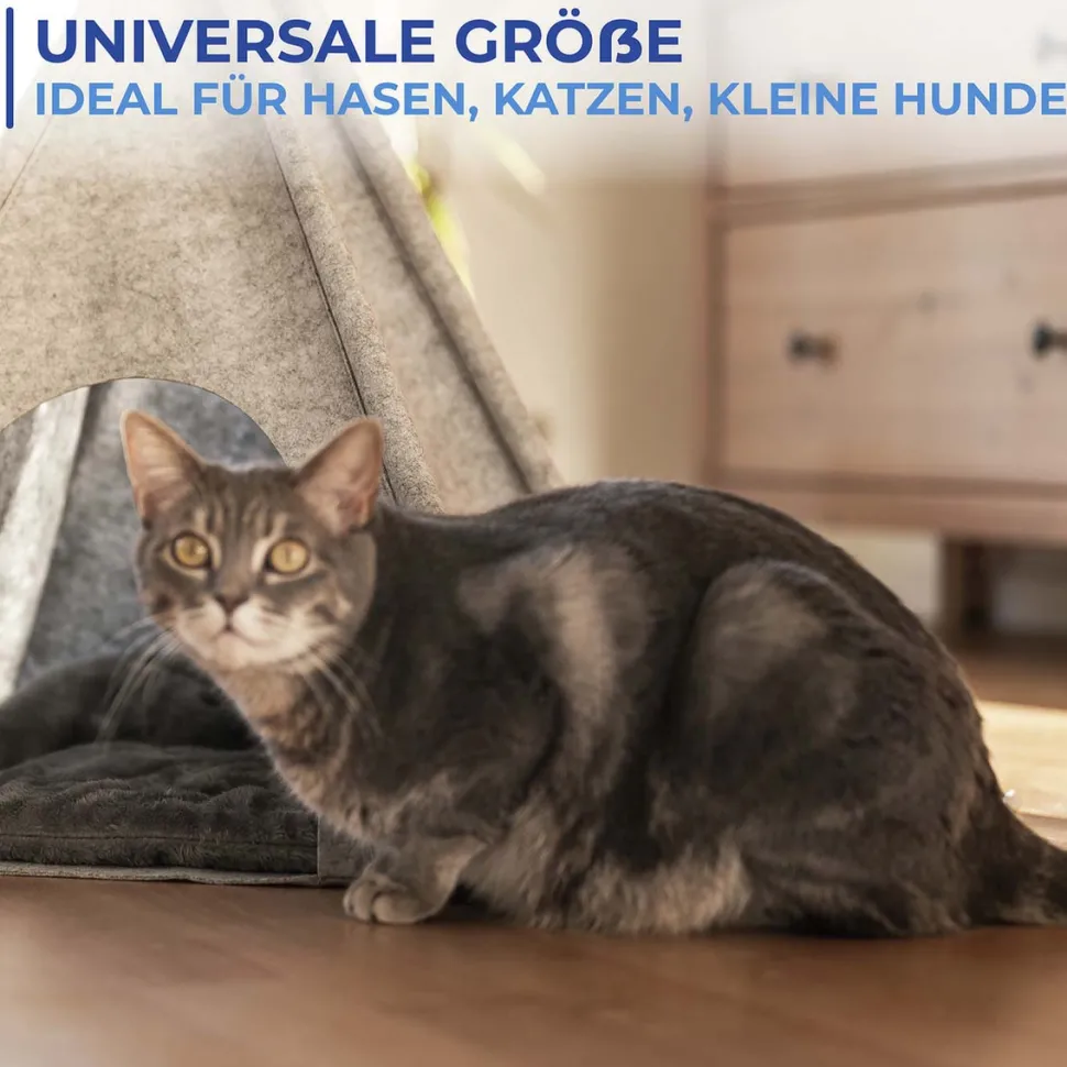 Multi-Tierdecke